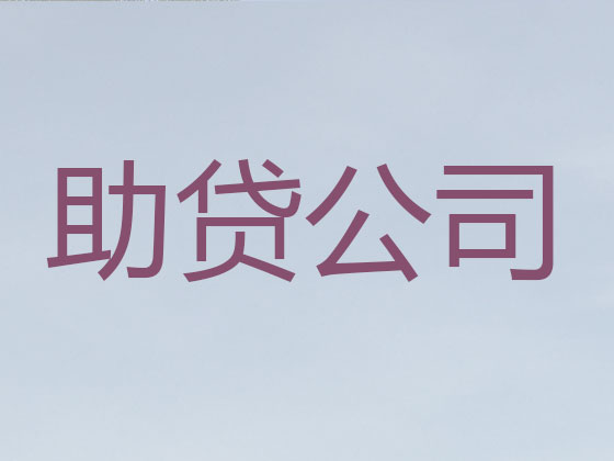 芜湖抵押贷款公司-银行信用贷款